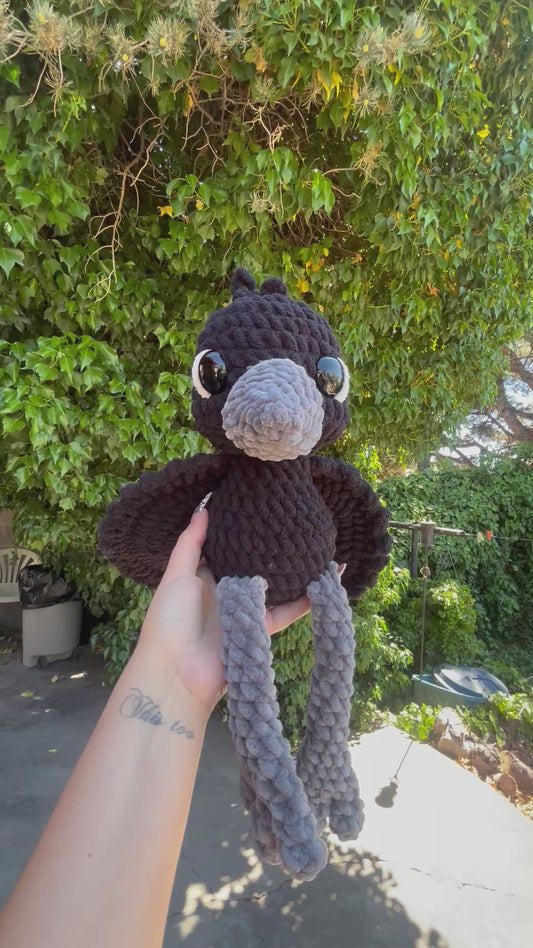 Crow boi